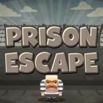 Prison Escaper